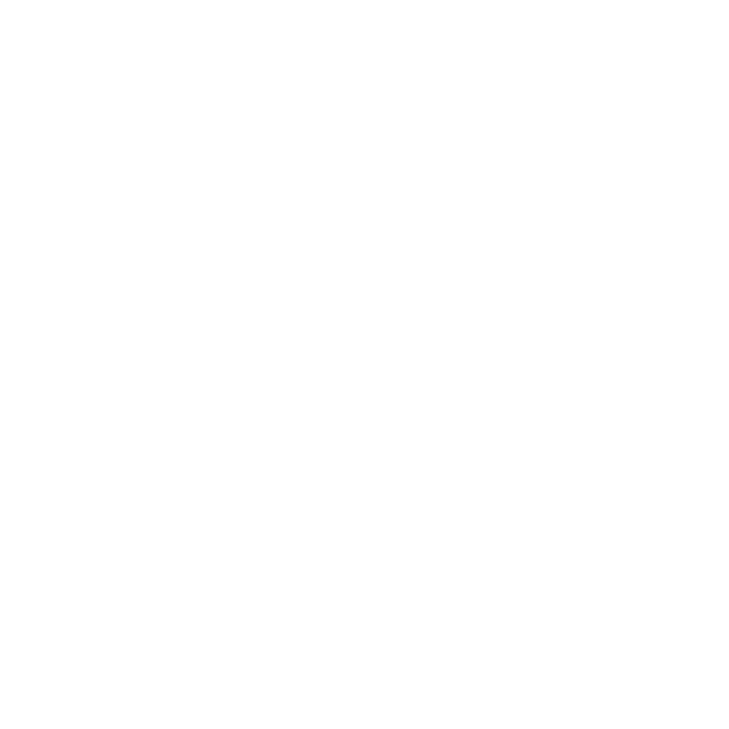 Visa card icon